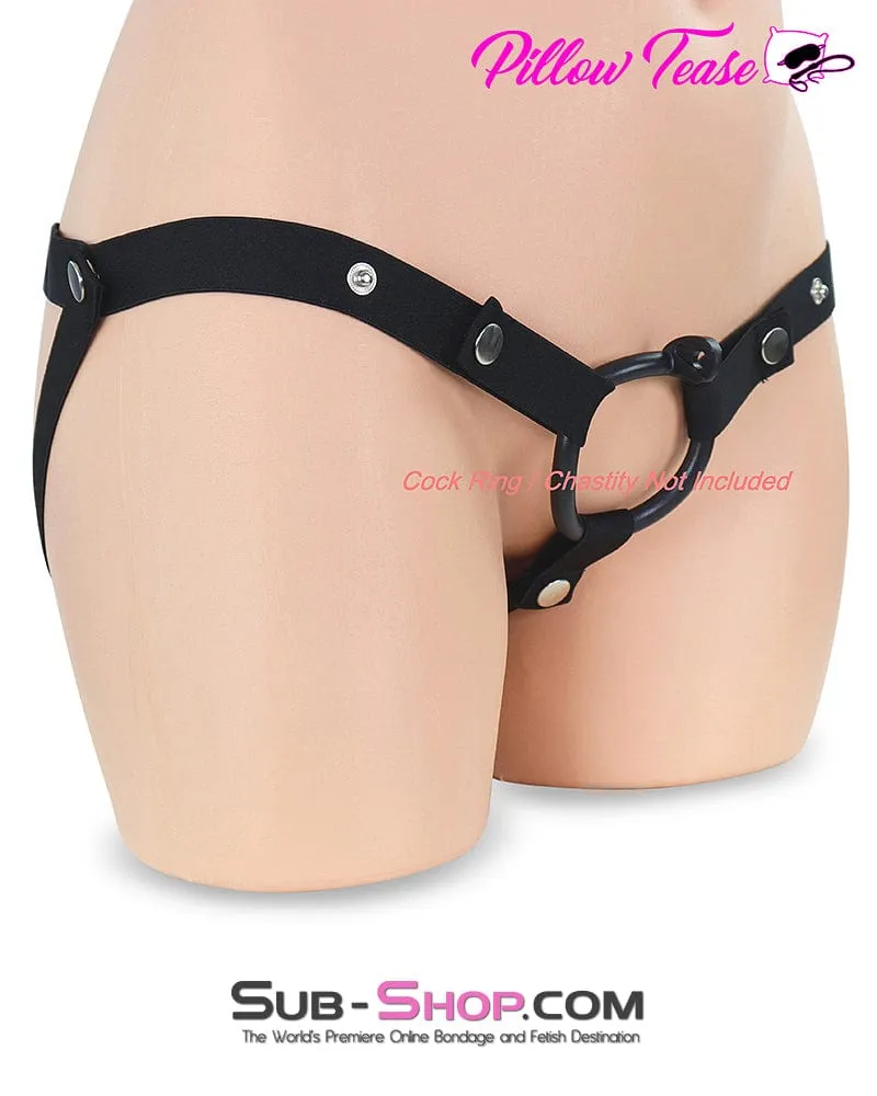3774DL  Black Nylon Chastity Holder Harness