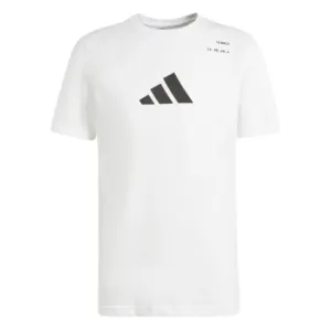 Adidas Aeroready Category Graphic Men Tennis Tee - White