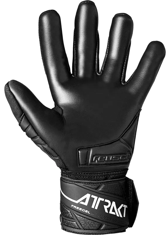 Attrakt Freegel Infinity (55707357700)