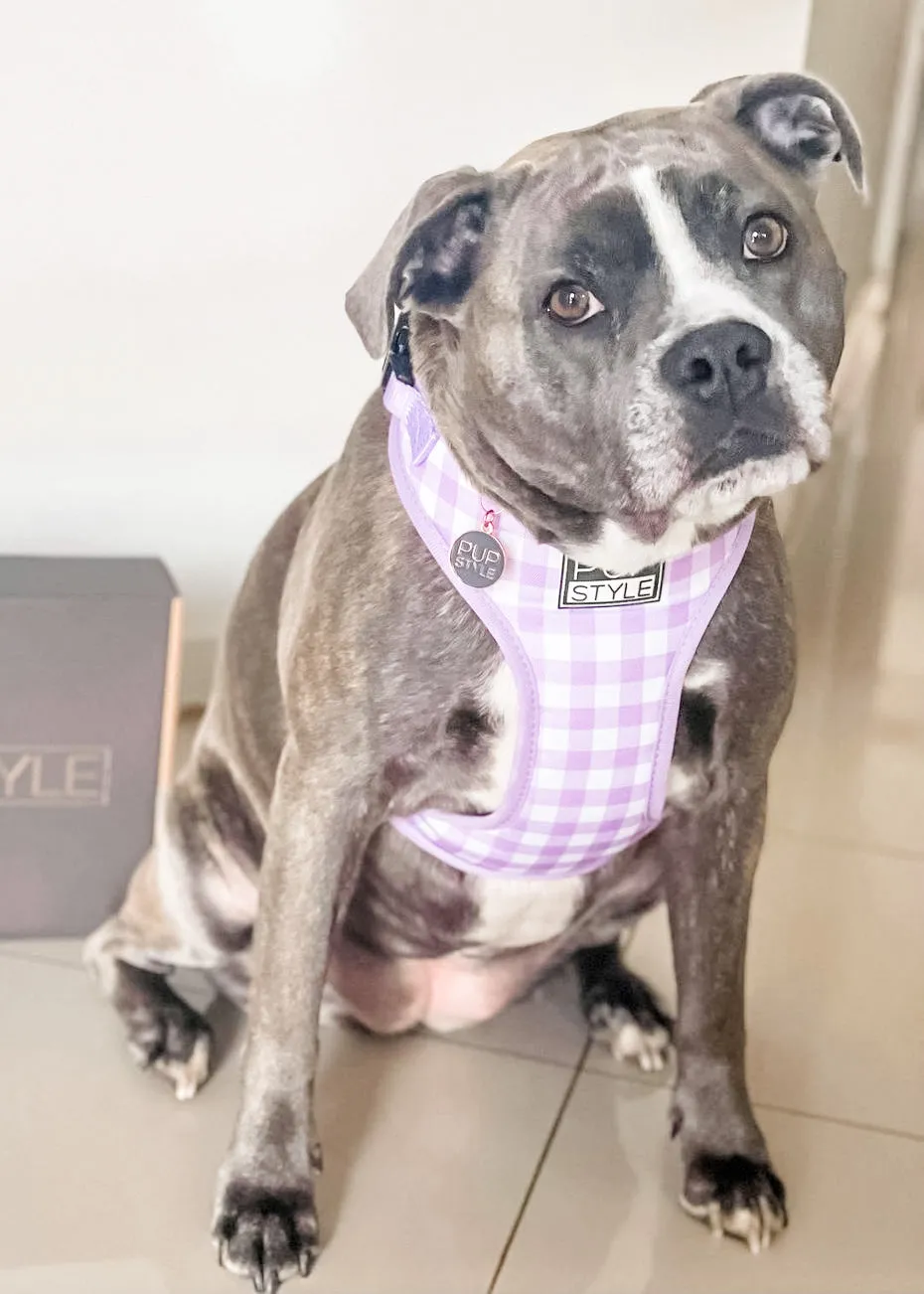 Berry Milkshake Harness