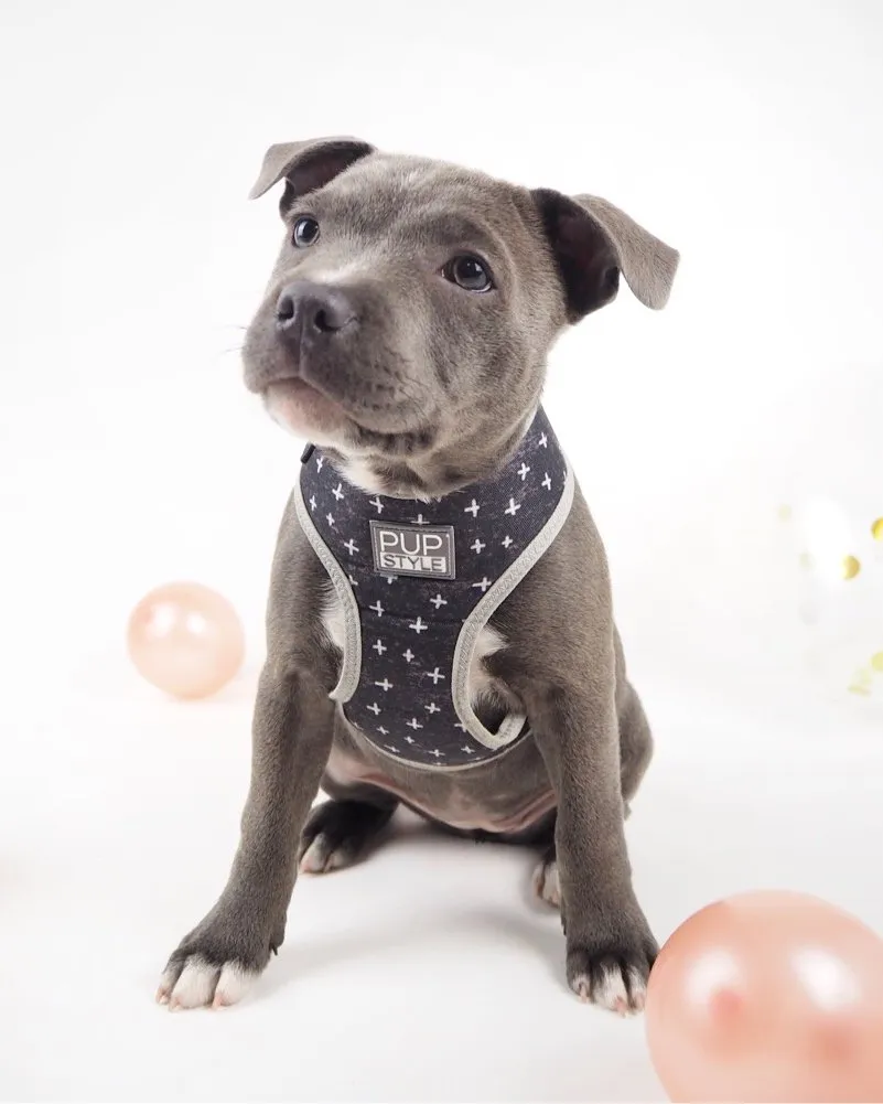 Blessed Harness