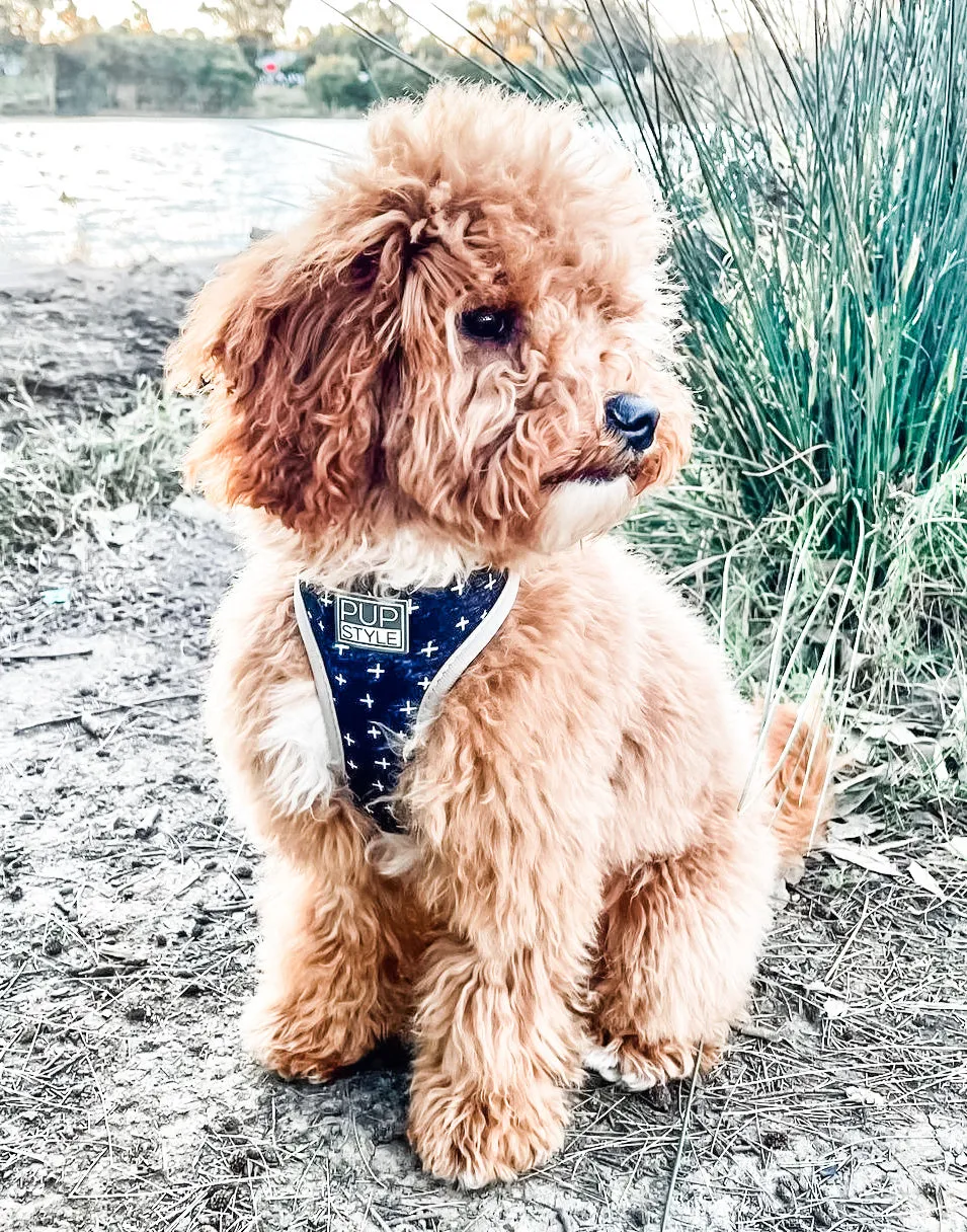 Blessed Harness