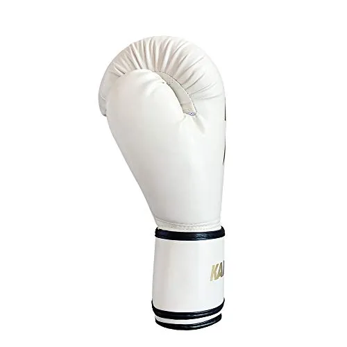 Boxing Gloves (6oz, 8oz, 10oz, 12oz, 14oz, 16oz) Punching Bag Mitts, Muay Thai,UFC MMA Kickboxing Fight Training Gloves by KAIWENDE-BX01 (BJ-White, 12 oz)