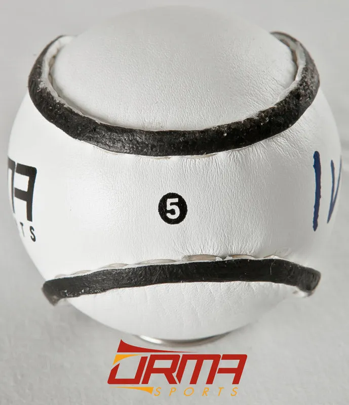 Customised Photo Shoot Sliotar - Pack of 5