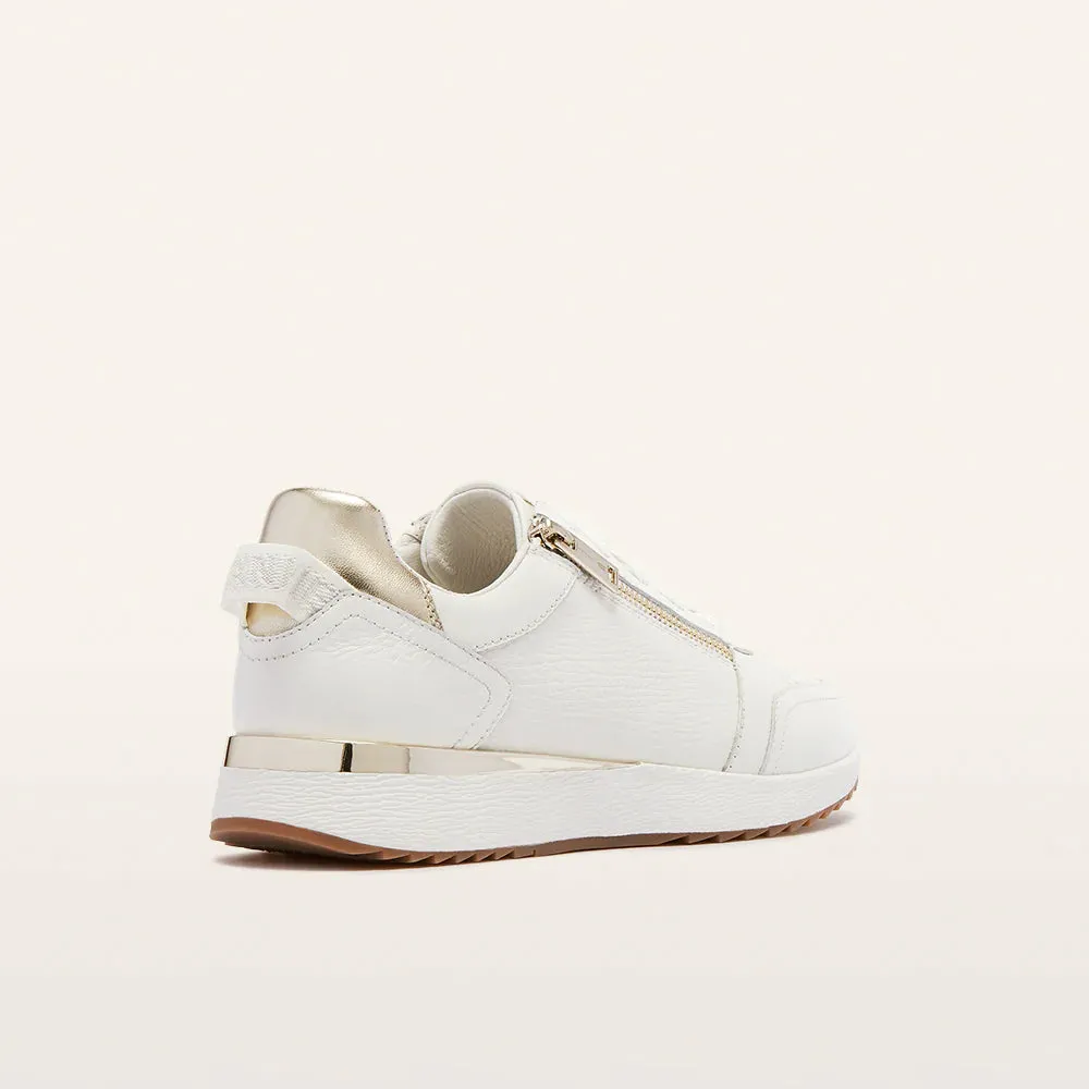FRANKIE4	II BROOKLYN III - White/Gold