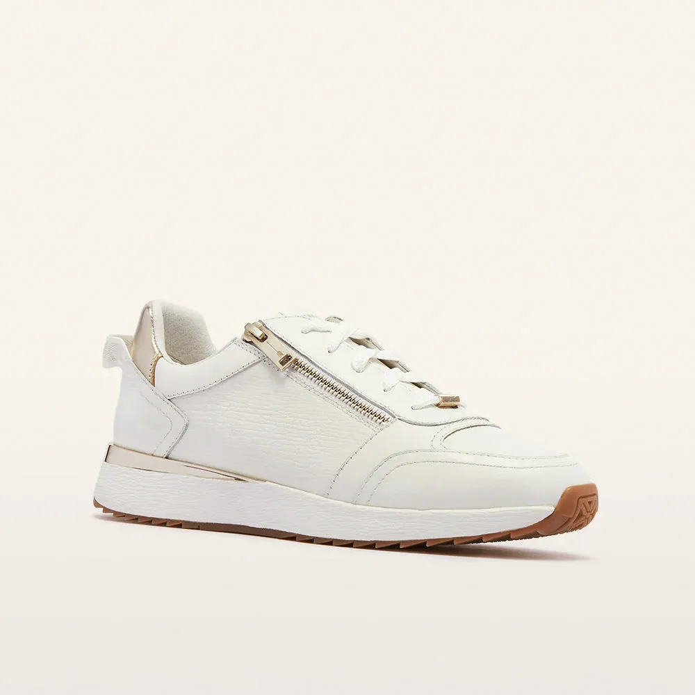 FRANKIE4	II BROOKLYN III - White/Gold