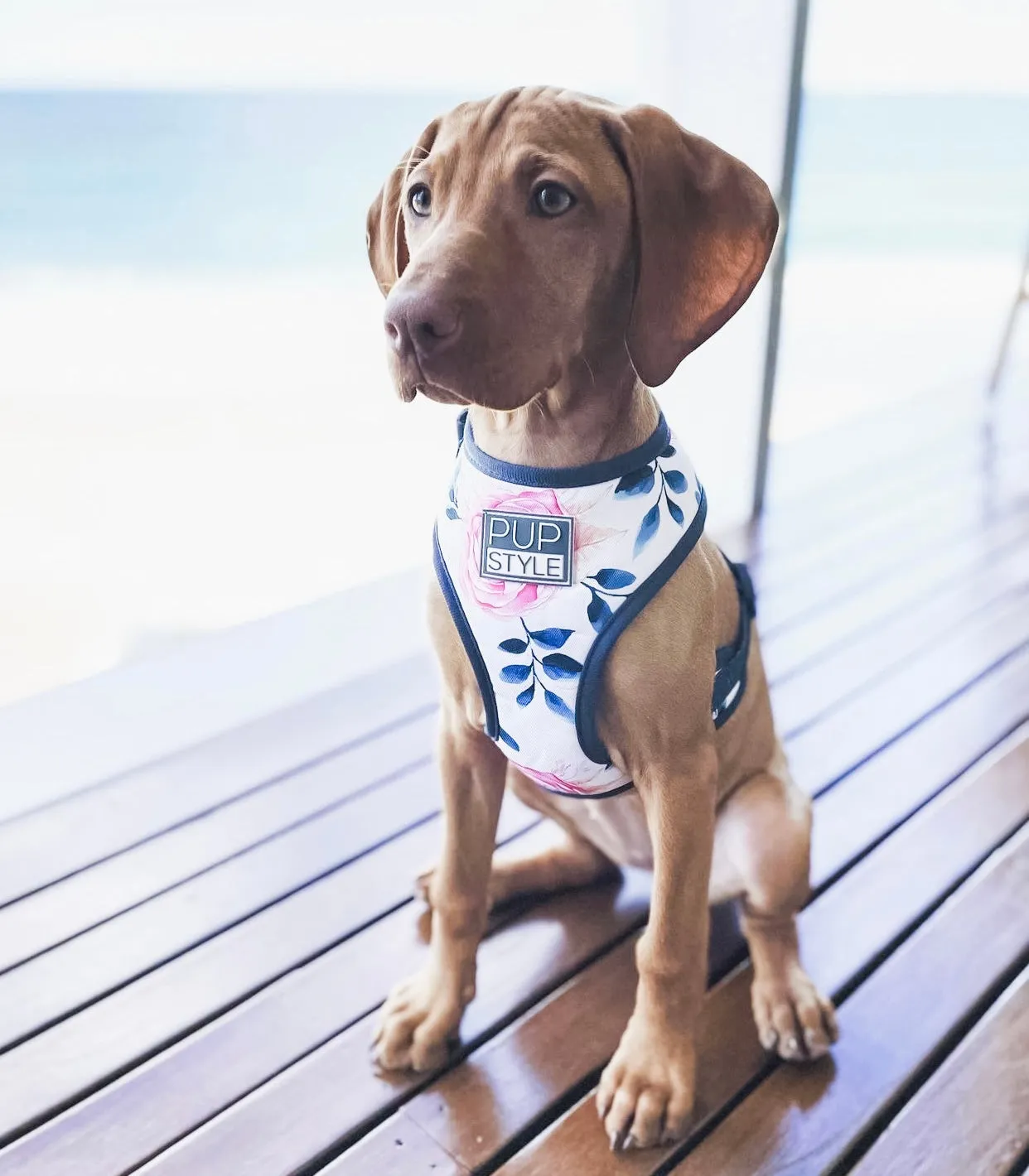 Fresh Blooms Harness