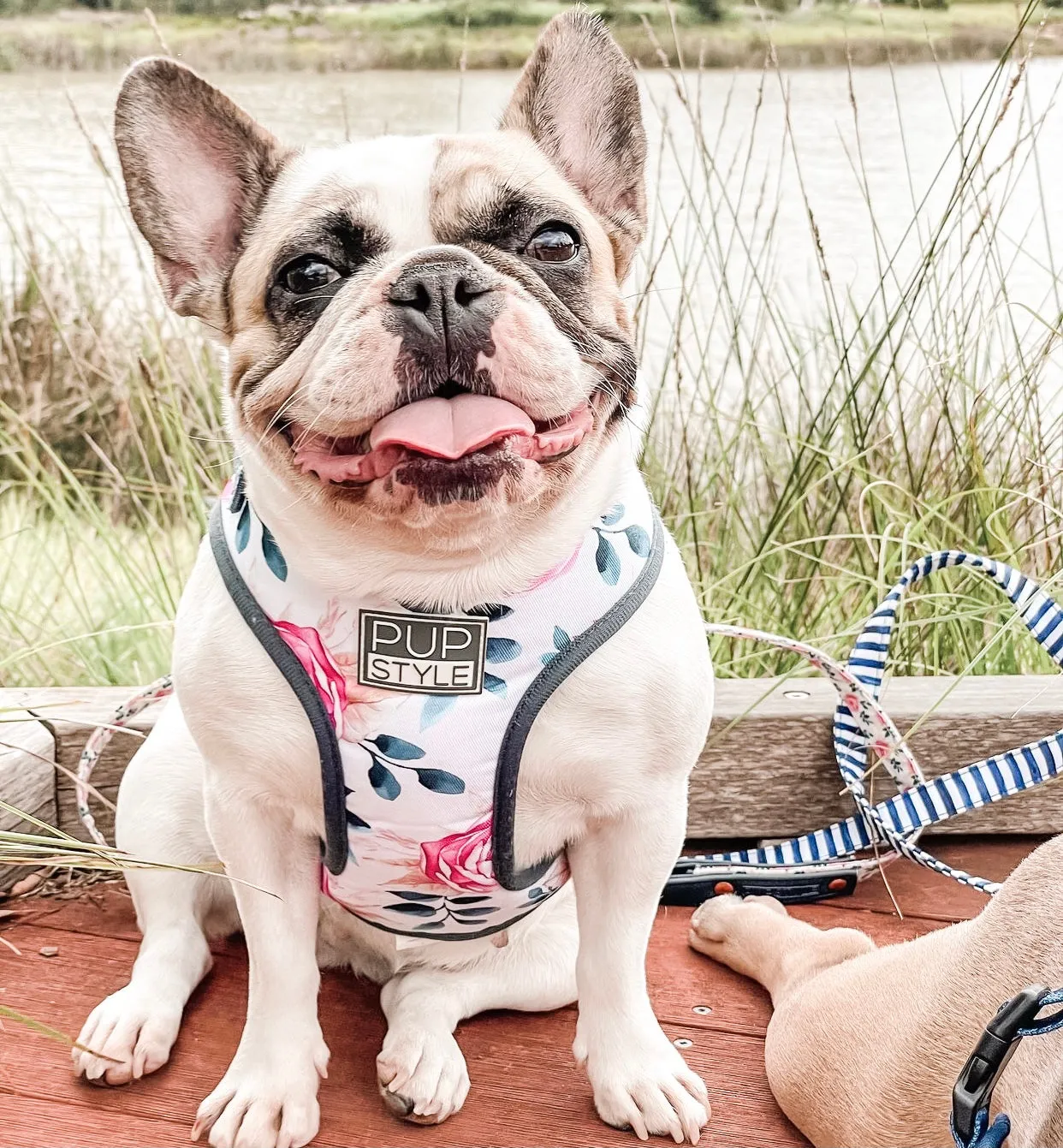 Fresh Blooms Harness