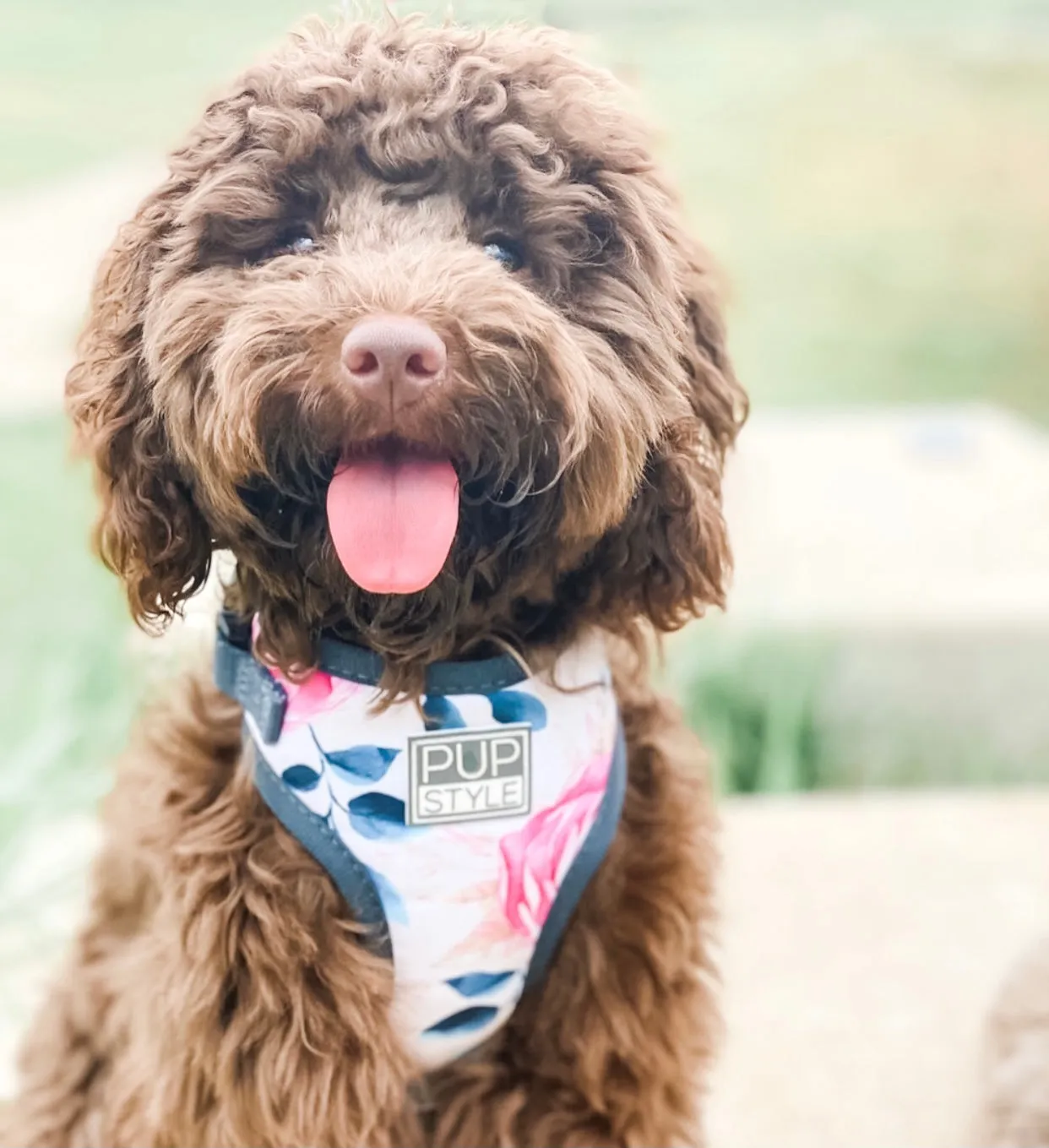 Fresh Blooms Harness