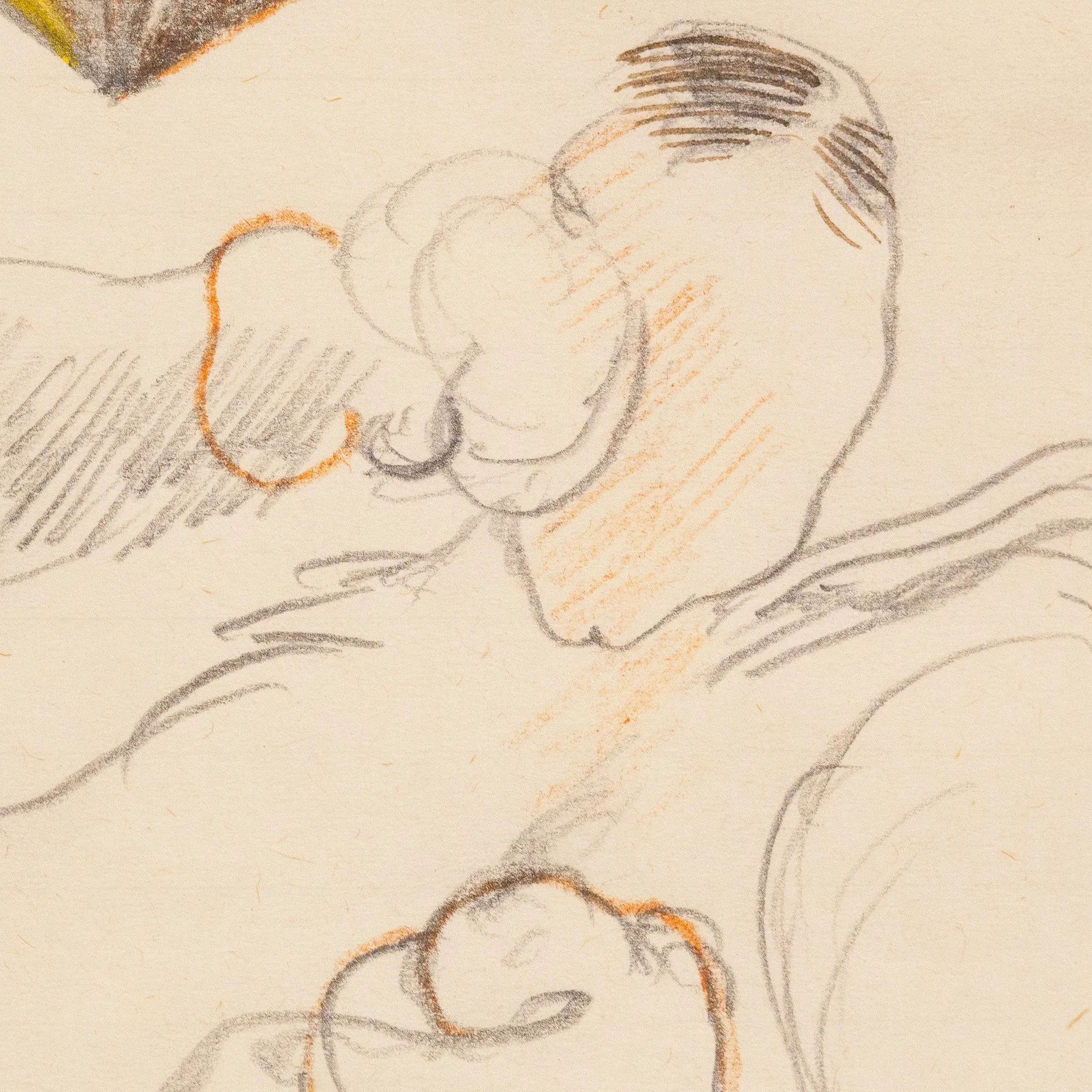 GREG CURNOE "BOXERS" DRAWING