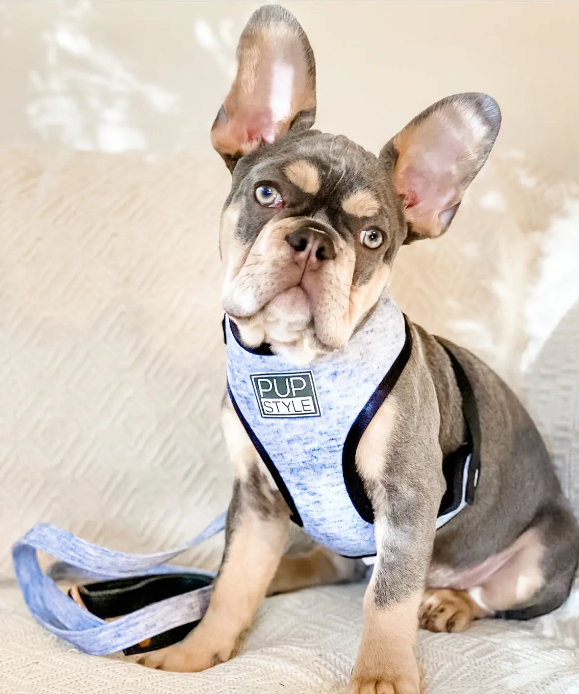 Greys for Days Harness