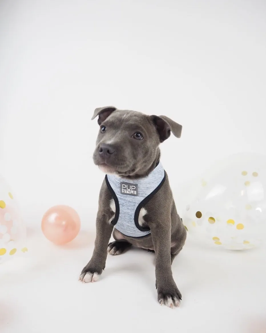 Greys for Days Harness