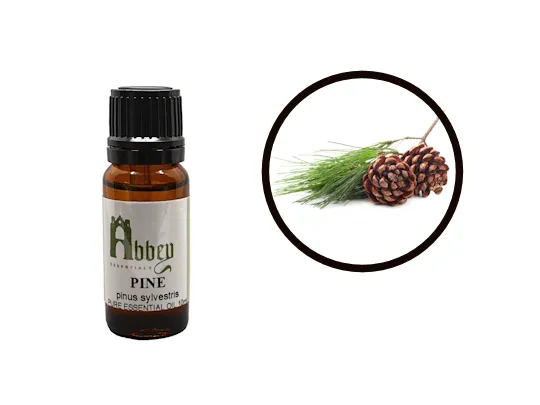 Pine Essential Oil