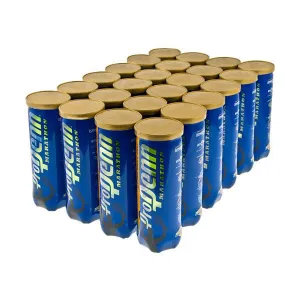 Pro Penn Marathon Regular Duty Tennis Balls - 24 Can Case