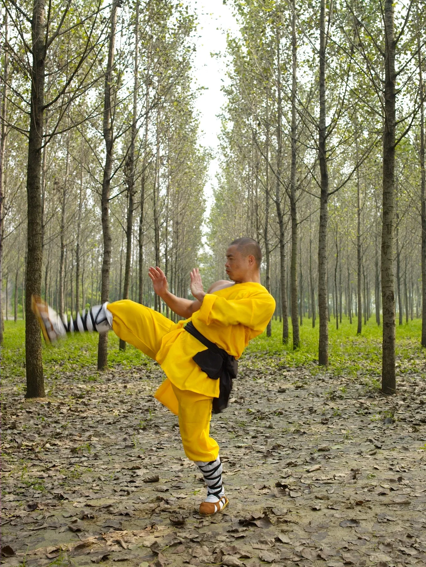 Rou Quan (Soft Fist) - Live Masterclass
