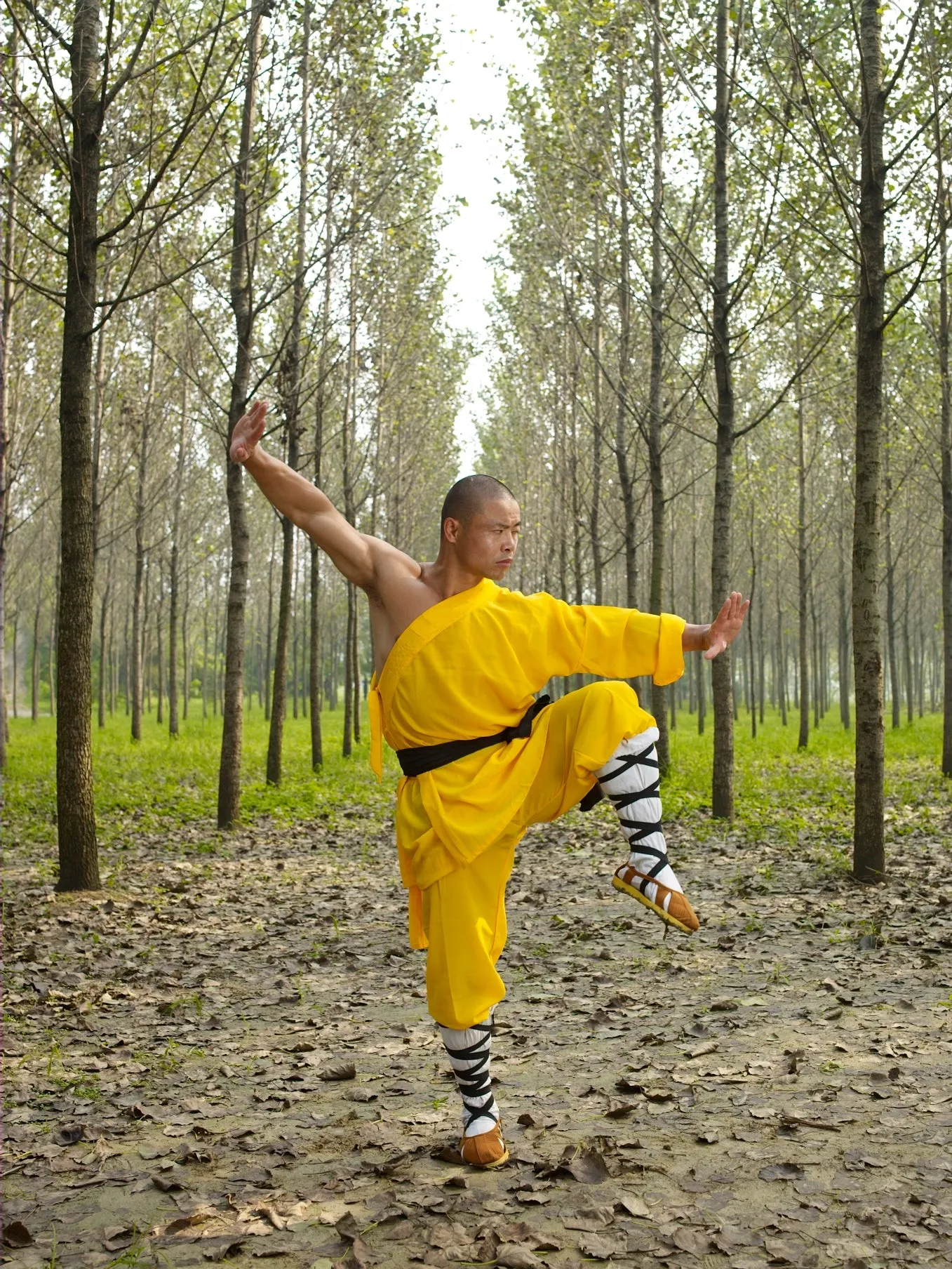 Rou Quan (Soft Fist) - Live Masterclass