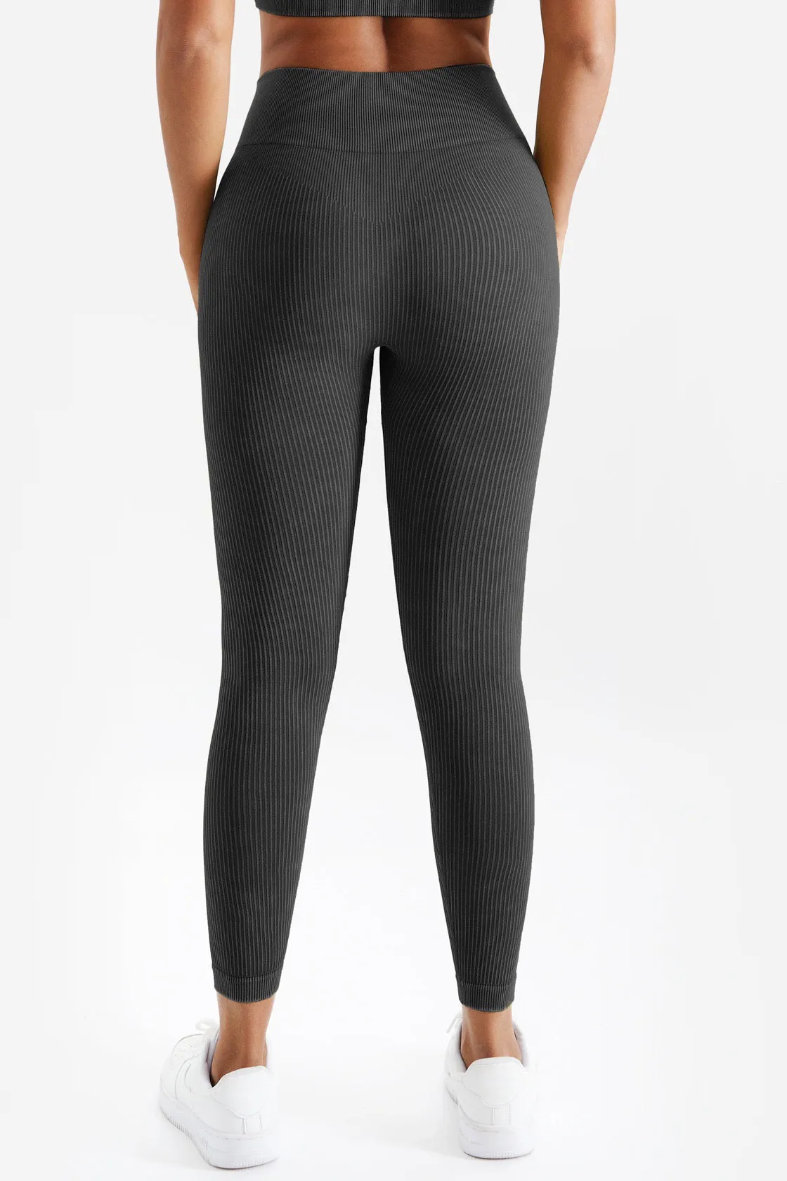 Sahara Seamless Tights