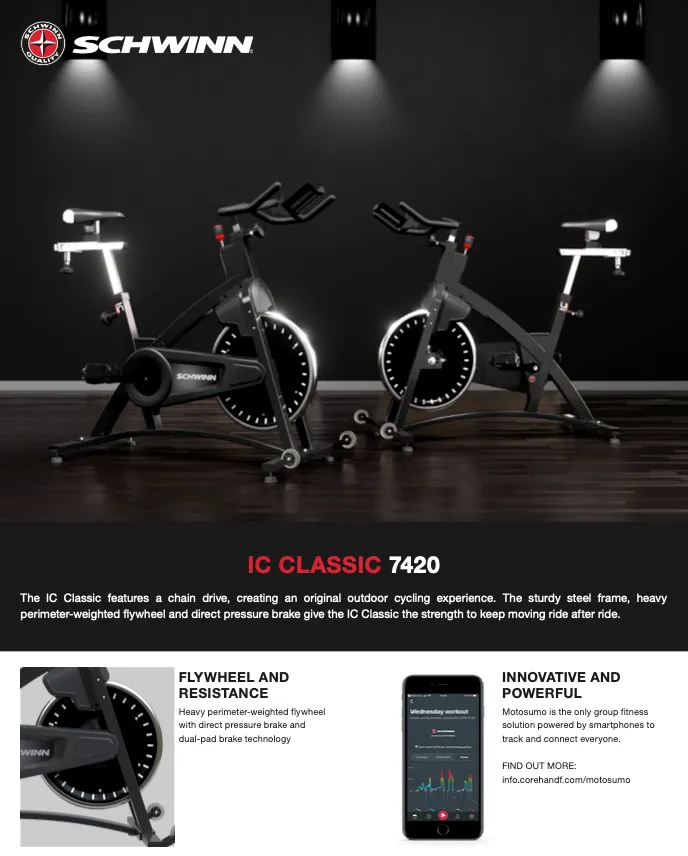 SCHWINN IC Classic