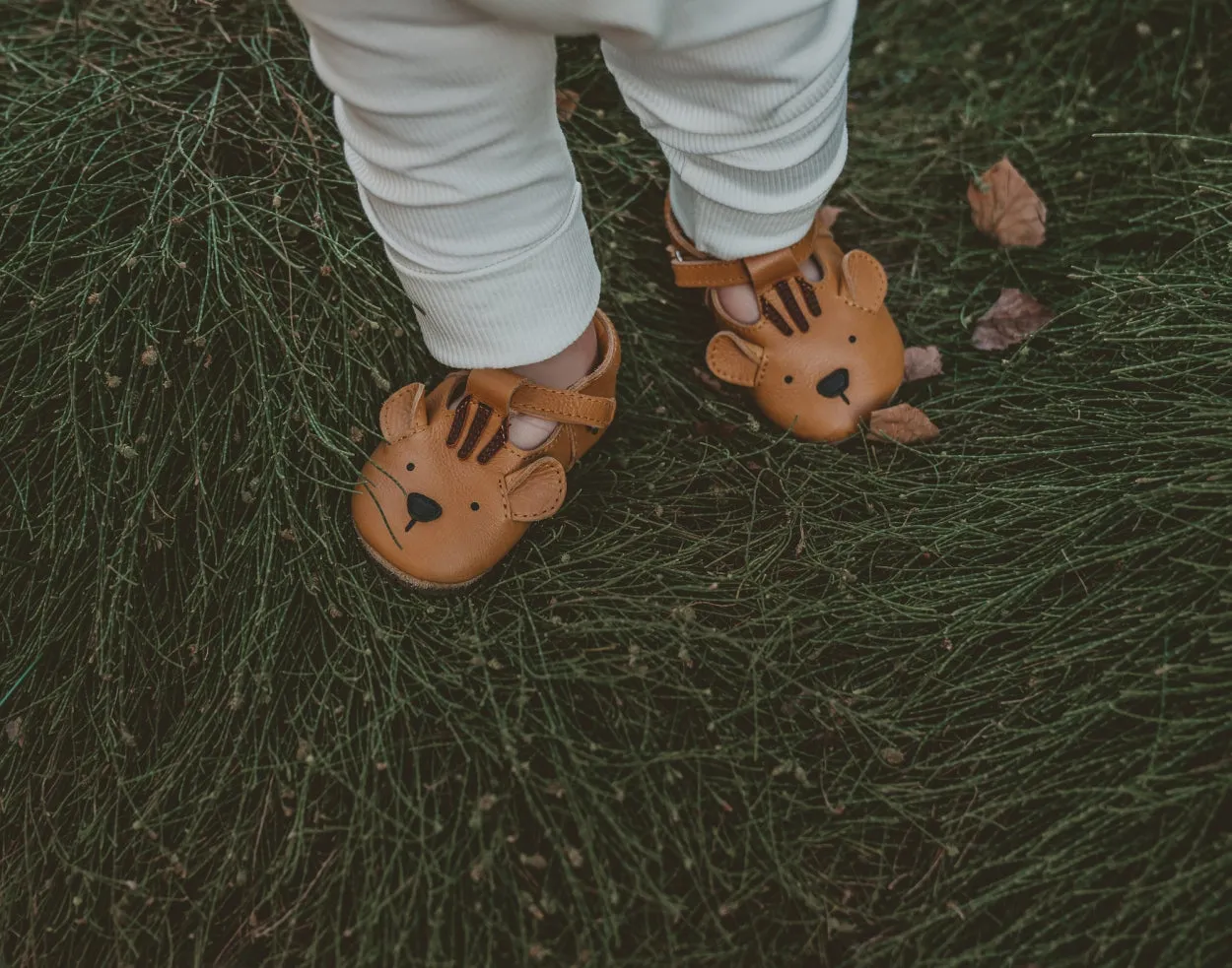 Spark Classic Shoes | Tiger | Camel Classic Leather