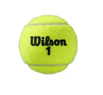 Wilson Roland Garros Official Ball - Clay Court - 4 Ball Can